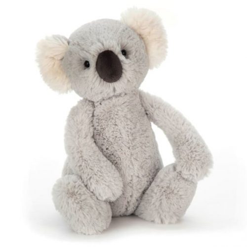 5498 Med Bashful Koala