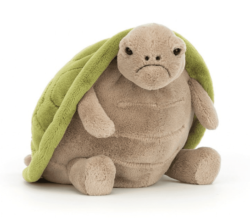 21372 Timmy Turtle